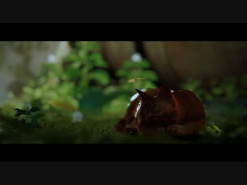 おいニャンニャンニャン！　mp.1