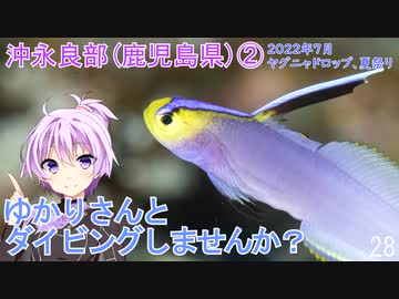 【沖永良部②(鹿児島県)】ゆかりさんとダイビングしませんか？