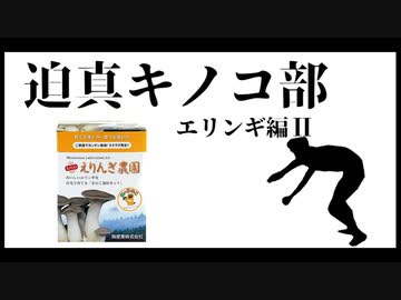 迫真キノコ部・エリンギ栽培の裏技　中編