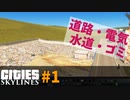 【Cities: Skylines】序盤を徹底解説【ビギナー向け解説】#1