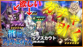 【ガチャ】リリース記念ガチャでケモノ祭りを所望する【龍脈のアナザーエイドスR】