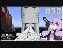 ゆかりのGo Insane SkyBlock versionver0.3.3【1.17.1】＃30
