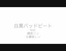 白黒バッドビート / 鏡音リン・鏡音レン