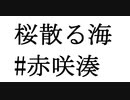 桜散る海