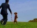 衝撃の犬　散歩
