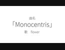Monocentris / flower