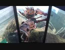 戦場の絆Ⅱ　メサなんとか610