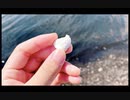 花に亡霊□歌ってみた■