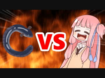 茜ちゃんVSうなぎ