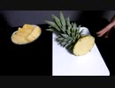 東愛おねーさんのチャレンジ動画