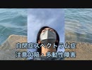 新人YouTuberさん親に発達障害だとバレる