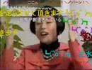 【疾走感】HON ZONE【弾幕】