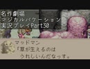 【マジカルバケーション】関西人、魔法学校へ入学する【Part30】