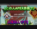 ギスギスPAEX