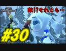 【実況】キングダムハーツⅢ～2人で行くディズニーの世界～＃30【初見】