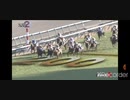 なかなか(G1で)勝てない馬がいる