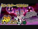 【ポケモン剣盾】THE DARK SIDE OF POKEMON-BATTLES～急所は試合を左右しない～【ダブルバトル】
