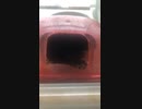 クロクマハムスターぱくぱくムシャムシャ
