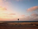晩夏、そこにいる。