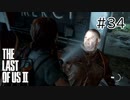 【実況】この過酷な世界を生きてゆく。ラストオブアス2を実況プレイpart34【The Last of Us Part Ⅱ】