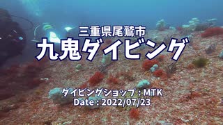 【ダイビング】名古屋から日帰りのダイビングスポット 尾鷲市 九鬼