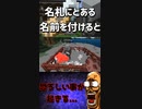 ヴィンディケーターには恐怖な豆知識があります...「#shorts 」【minecraft】【マインクラフト】【マイクラ】