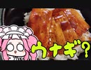 四国めたん「これが新型ウナギですわ～」