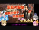 ＜信長の野望・新生＞こころのほのぼの里見放浪記　6話