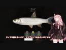 茜お姉ちゃんが川釣りのバイトをする話　7月号