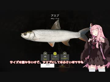 茜お姉ちゃんが川釣りのバイトをする話　7月号