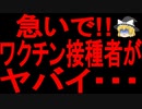【ゆっくり解説】このままだと・・・｜すぐに消すかも・・・この動画が削除されてたら・・・