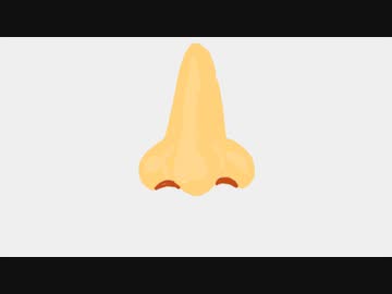 HNG / flower-かいばしら