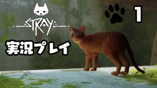 【stray】吾輩は猫になる　part1
