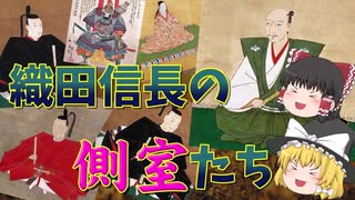 【ゆっくり解説】織田信長の側室たち