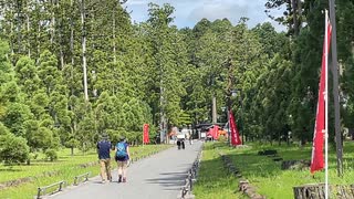 日本三景　松島　瑞巌寺　入口あたりの風景　2022　0724