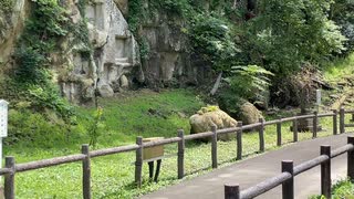 日本三景　松島　瑞巌寺洞窟遺跡跡群　2022　0724