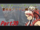 【ゆっくりモンハン】モンスターハンターツアー素材＆アイテム縛りの旅　part30【MHP2G】