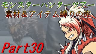 【ゆっくりモンハン】モンスターハンターツアー素材＆アイテム縛りの旅　part30【MHP2G】