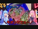 【琴葉姉妹のグルメ録】え！？原価で焼肉を食べてもいいんですか！！《 焼肉ニクブンノイチ：梅田店》