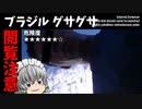 【ゆっくり実況】ブラジル グサグサ【検索してはいけない言葉】