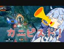 カニピスト爆誕！！！！！！【モンハンライズ：サンブレイク】