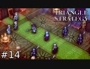 玉座を赤く染めるのは【TRIANGLE STRATEGY】#14