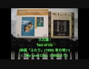 【piano】Two of Us（久石譲作曲・「My Lost City」(1992)より）【A=432Hz】
