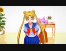 【セーラームーン】ロマンスの神様 (Usagi Tsukino & ChibiUsa ver.)