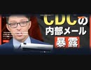 【ワクチン信者 発狂動画】 CDCがワクチン死を隠蔽 【陰謀論ガ― 逆上動画】