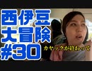 西伊豆大冒険#30カヤックが終わって