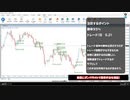 [FX]フォレックステスター５の使い方とおまけ手法[初心者]