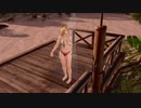 【DoaX3】グラビアパラダイスランダム　073008