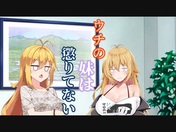 【ソフトウェアトーク劇場】ウチの妹は懲りてない