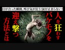 【リクエスト】知らなければ逃げ切れない！山の魔物に挑んだ結果『邪視』【ゆっくり怖話】